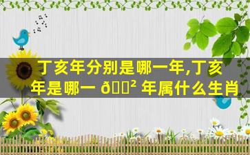 丁亥年分别是哪一年,丁亥年是哪一 🌲 年属什么生肖